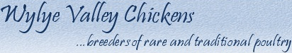 Rare Breed Poultry For Sale | Wylye Valley Chickens - breeders of rare and traditional poultry